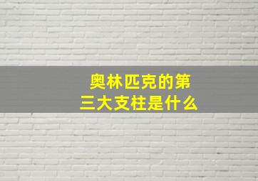 奥林匹克的第三大支柱是什么