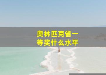 奥林匹克省一等奖什么水平