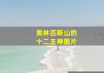 奥林匹斯山的十二主神图片