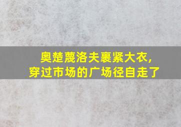 奥楚蔑洛夫裹紧大衣,穿过市场的广场径自走了