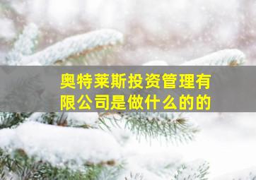 奥特莱斯投资管理有限公司是做什么的的