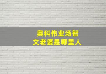 奥科伟业汤智文老婆是哪里人