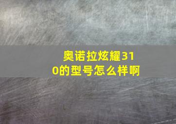 奥诺拉炫耀310的型号怎么样啊