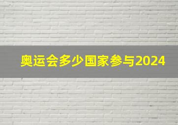 奥运会多少国家参与2024