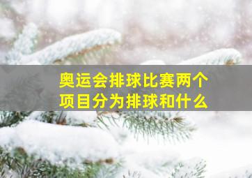 奥运会排球比赛两个项目分为排球和什么