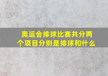 奥运会排球比赛共分两个项目分别是排球和什么