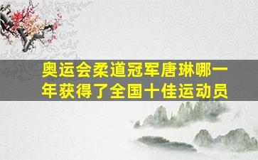 奥运会柔道冠军唐琳哪一年获得了全国十佳运动员