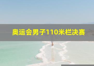 奥运会男子110米栏决赛