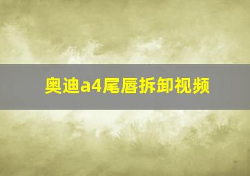 奥迪a4尾唇拆卸视频