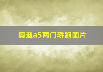 奥迪a5两门轿跑图片