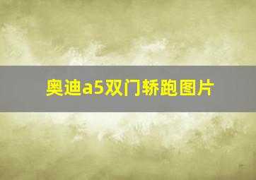 奥迪a5双门轿跑图片