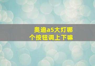 奥迪a5大灯哪个按钮调上下嘛