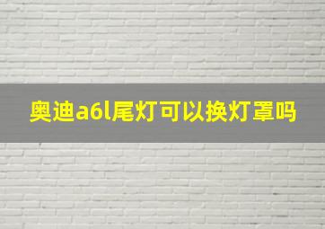 奥迪a6l尾灯可以换灯罩吗