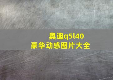 奥迪q5l40豪华动感图片大全