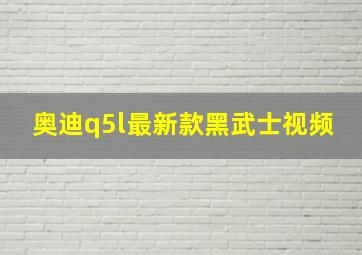 奥迪q5l最新款黑武士视频