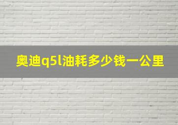 奥迪q5l油耗多少钱一公里