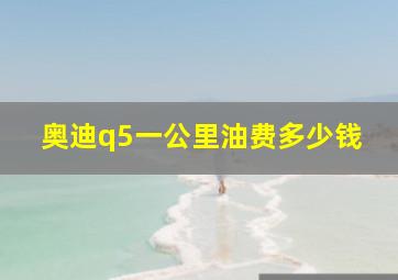 奥迪q5一公里油费多少钱