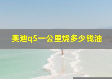 奥迪q5一公里烧多少钱油