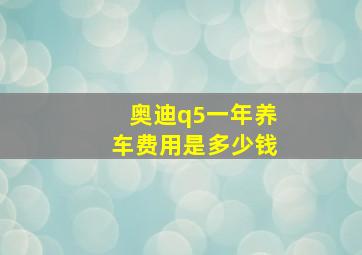 奥迪q5一年养车费用是多少钱