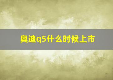 奥迪q5什么时候上市