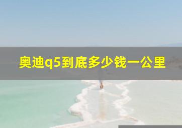 奥迪q5到底多少钱一公里