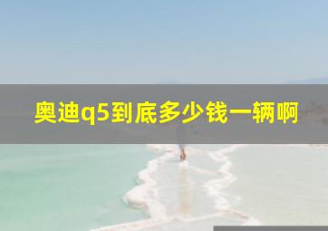 奥迪q5到底多少钱一辆啊