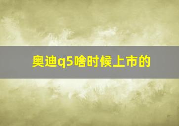 奥迪q5啥时候上市的