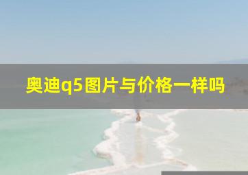 奥迪q5图片与价格一样吗