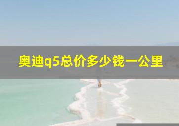 奥迪q5总价多少钱一公里