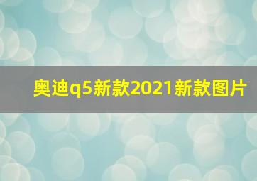 奥迪q5新款2021新款图片