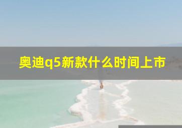 奥迪q5新款什么时间上市