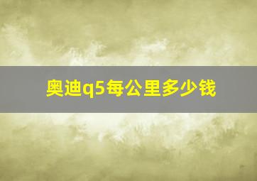 奥迪q5每公里多少钱