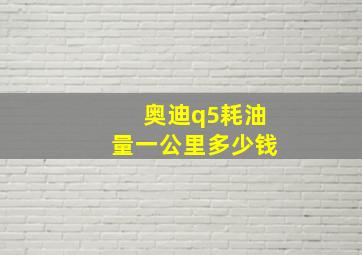 奥迪q5耗油量一公里多少钱