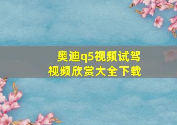 奥迪q5视频试驾视频欣赏大全下载