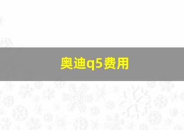 奥迪q5费用