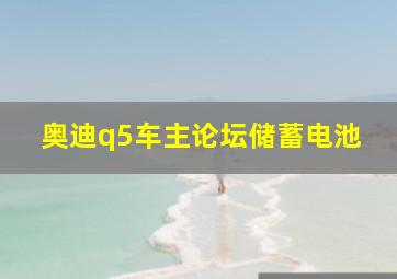 奥迪q5车主论坛储蓄电池