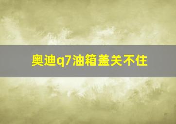 奥迪q7油箱盖关不住