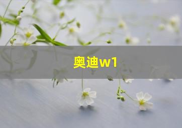 奥迪w1