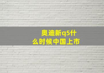 奥迪新q5什么时候中国上市