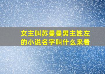 女主叫苏曼曼男主姓左的小说名字叫什么来着