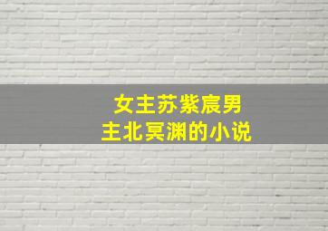 女主苏紫宸男主北冥渊的小说