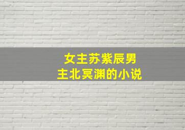 女主苏紫辰男主北冥渊的小说