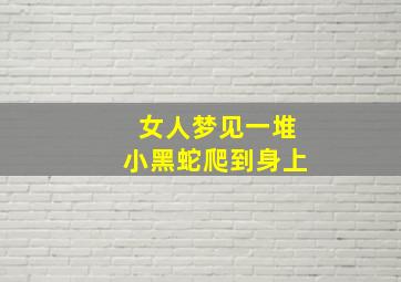 女人梦见一堆小黑蛇爬到身上