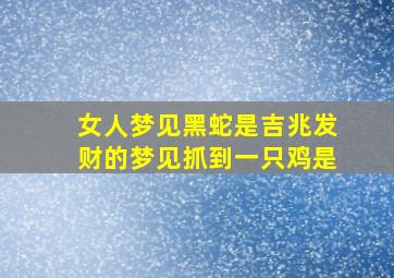 女人梦见黑蛇是吉兆发财的梦见抓到一只鸡是