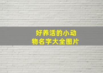 好养活的小动物名字大全图片