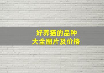 好养猫的品种大全图片及价格