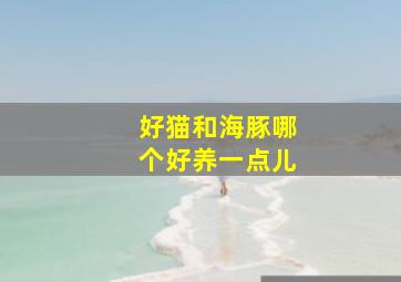 好猫和海豚哪个好养一点儿