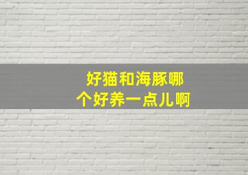 好猫和海豚哪个好养一点儿啊