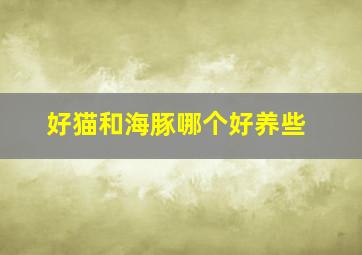 好猫和海豚哪个好养些