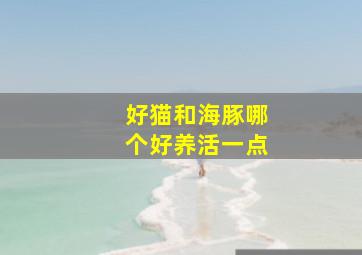 好猫和海豚哪个好养活一点